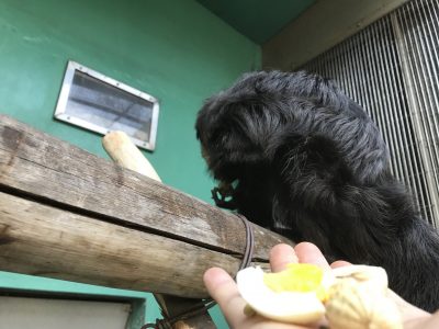 取り残されたもの達