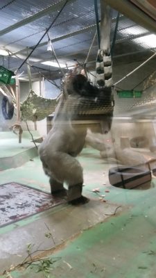 背筋を伸ばすタロウさん