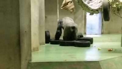 タイヤがある風景