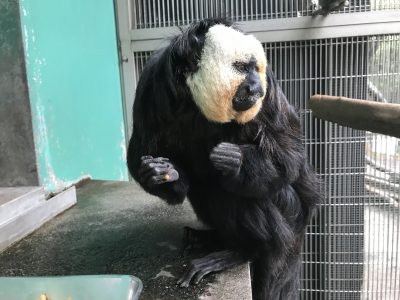 右手にあるのはペレット