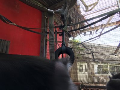 やっと