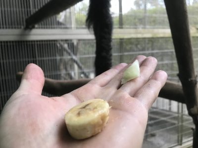 残された二品目