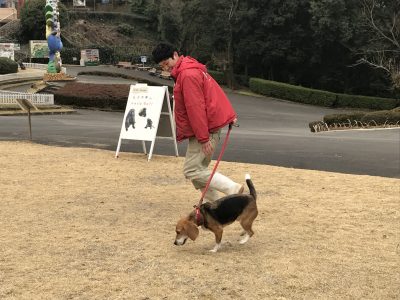 市原さんとホタテ2