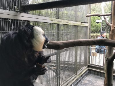 モップくんと、、