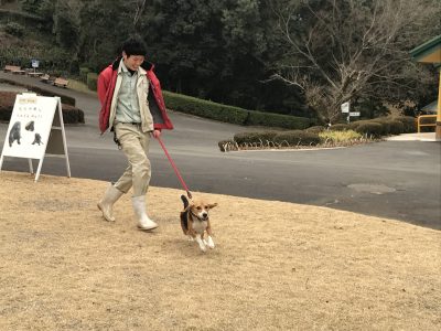 市原さんとホタテ1