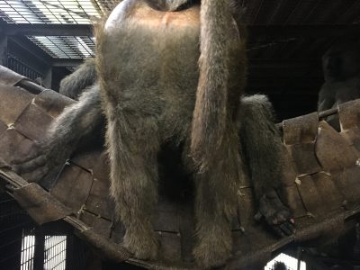 ヤバイ寝相