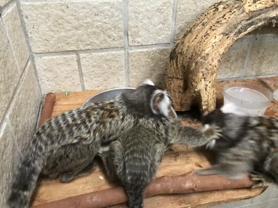 こんなはずでは