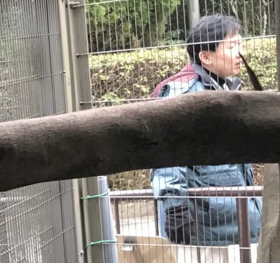 園長補佐