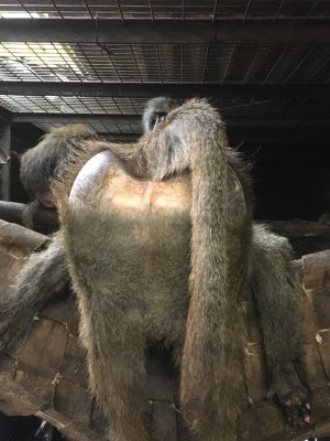 ヤバイ寝相2