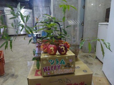 ツトムの誕生日ケーキ