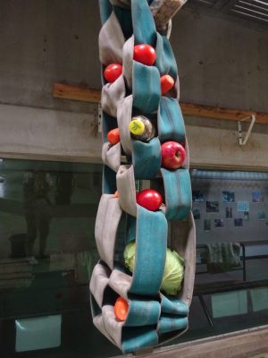 伸びたフィーダー
