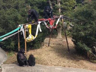 ジミーに挨拶