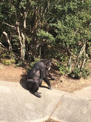 土をあつめ