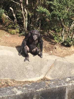 待つフジコ