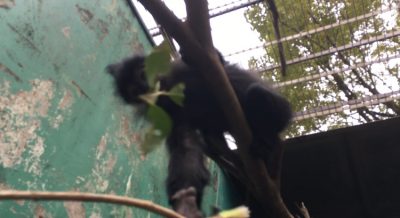 それをよこしな
