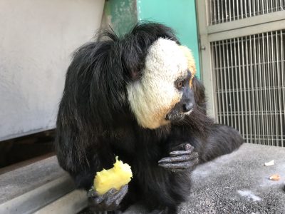 イモの皮はどこへ？