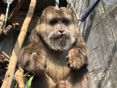 あんまだわ