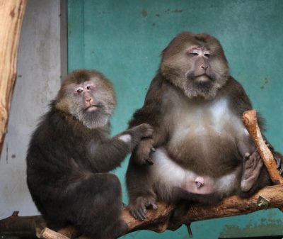 動きたくない