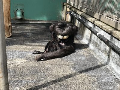 まだ気づかない