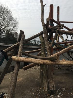 ヒヒの城櫓2