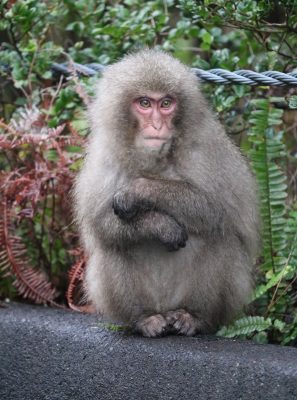 腕組み