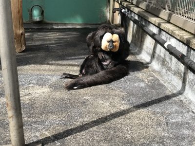 気づいた