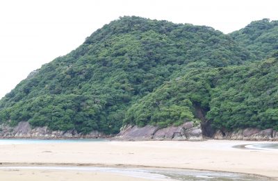幸島1
