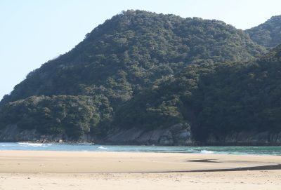 幸島2