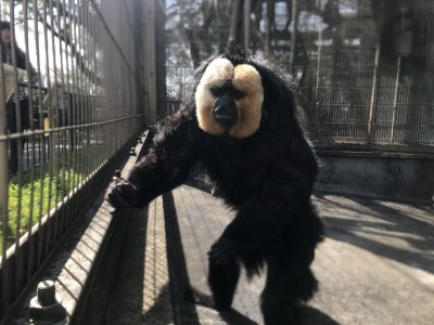 スポットガイドのモップくん