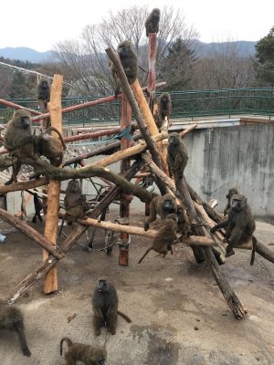 ヒヒの城櫓
