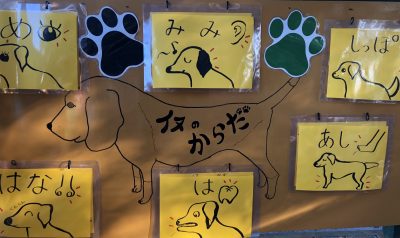 イヌのひみつ