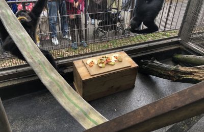 しっかり食べています