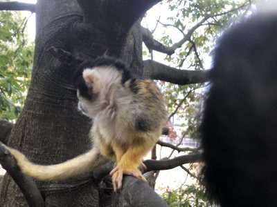 だんだん浸食されています