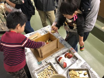 リンゴとバナナを入れていきます