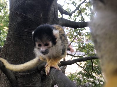 右端に移るものは…？