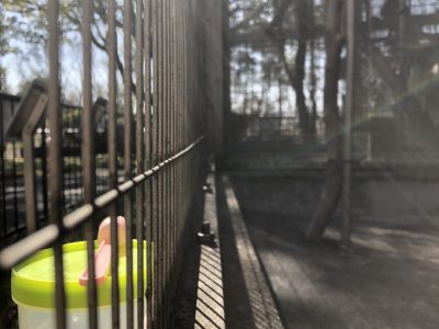 檻越しにあるアラビアガムの容器