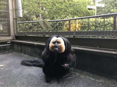 10月のモップくん