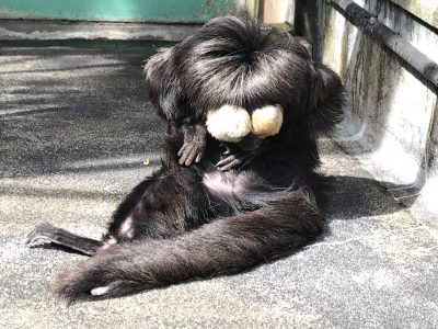 また夢中