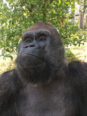 ふんっ