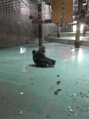 ディスコとイラーリ