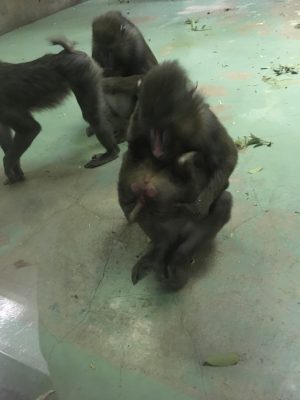 デラがイラーリをかかえる