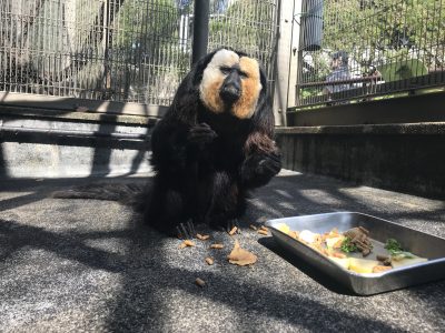 早めの夕飯