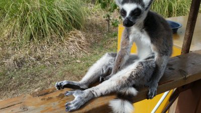 ウトウトウトウト