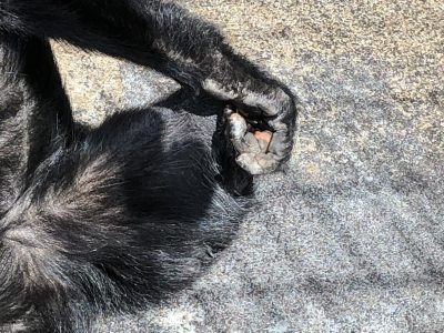 何か食べてるオバケ