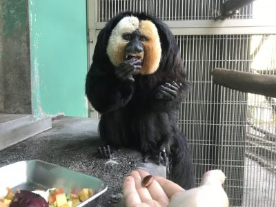 柿の種はいりません