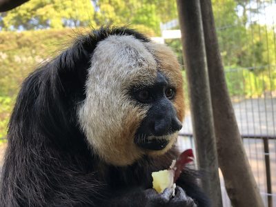 顔のどアップ