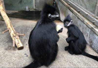 欲しい