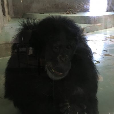 ツトム