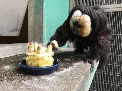 バナナをとったモップくん