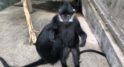次は自分かな